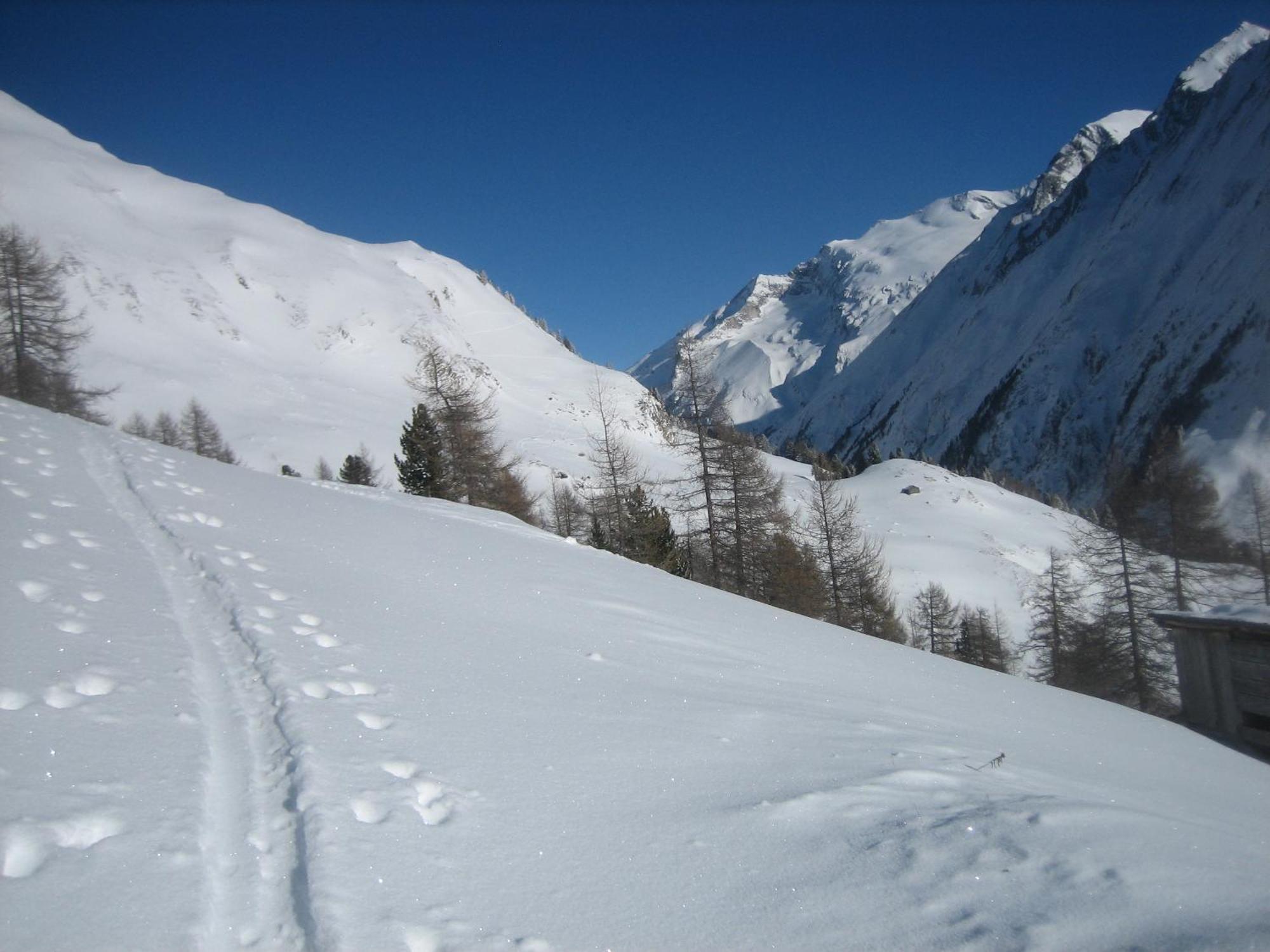 Haus Ursula Διαμέρισμα Kals-am Großglockner Εξωτερικό φωτογραφία