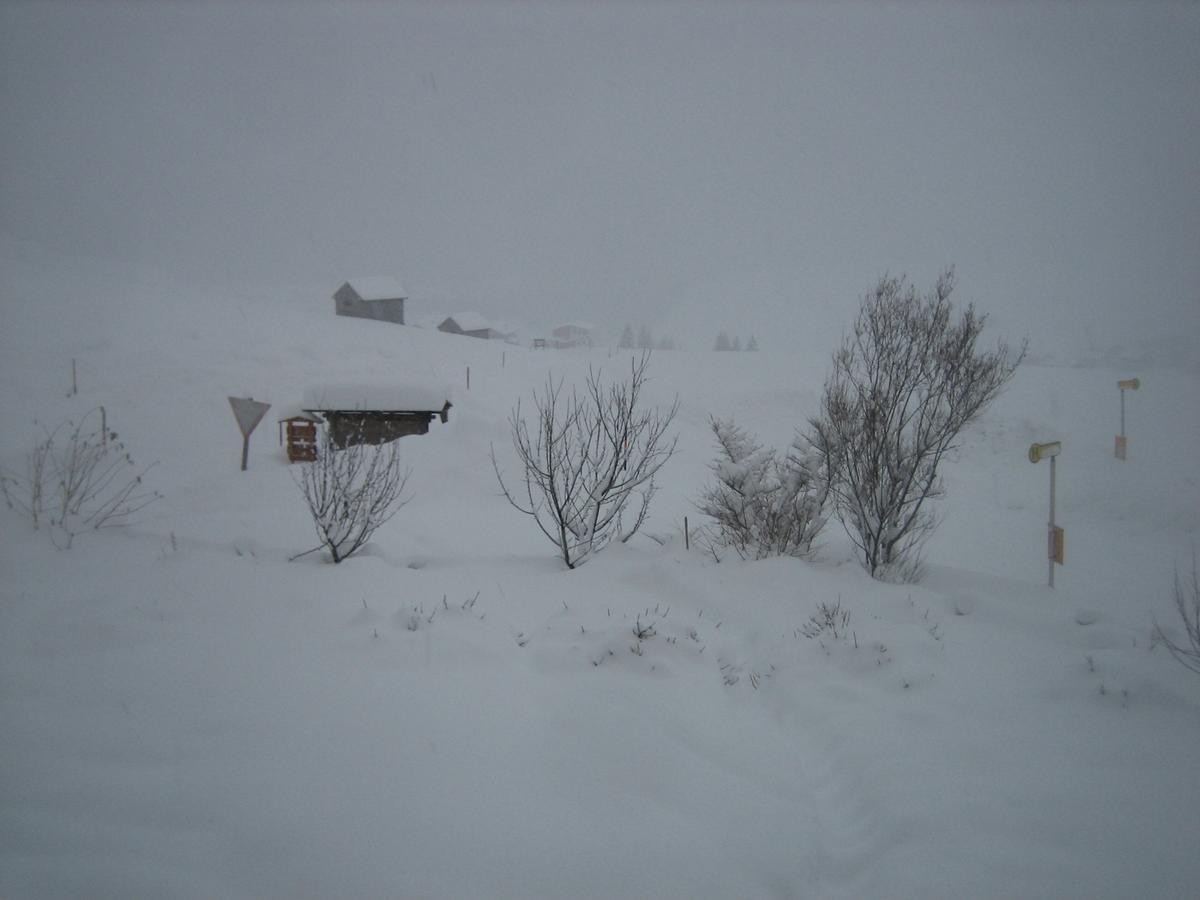 Haus Ursula Διαμέρισμα Kals-am Großglockner Εξωτερικό φωτογραφία