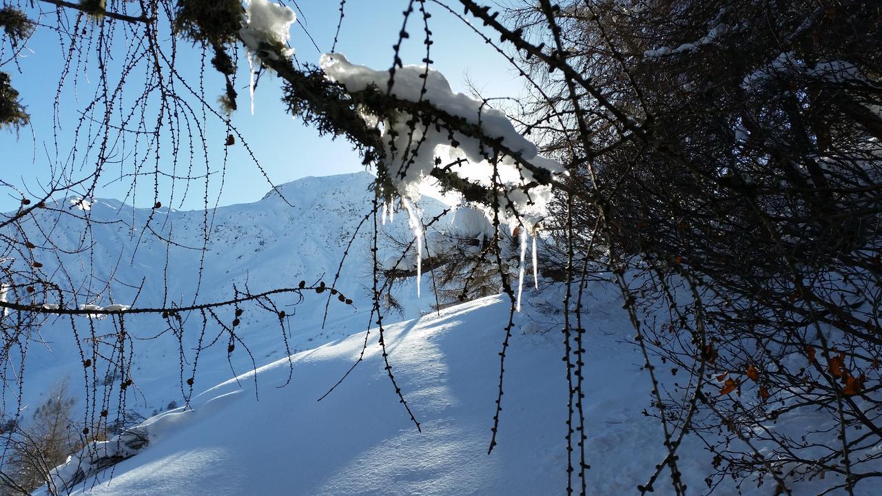 Haus Ursula Διαμέρισμα Kals-am Großglockner Εξωτερικό φωτογραφία
