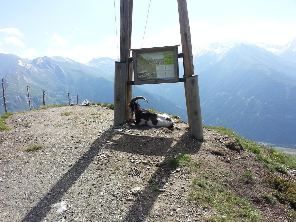 Haus Ursula Διαμέρισμα Kals-am Großglockner Εξωτερικό φωτογραφία